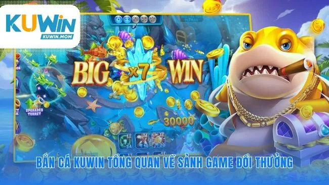 Nhìn vào bản thiết kế của một đại dương ảo