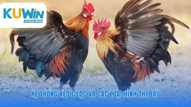 Lựa chọn vũ khí và chiến thuật cho riêng bạn
