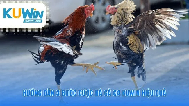 Làm chủ mọi ván cược với quy trình ba bước