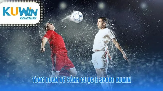 Nền tảng được xây dựng từ uy tín và công nghệ