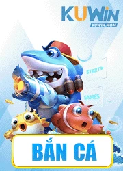 bắn cá kuwin