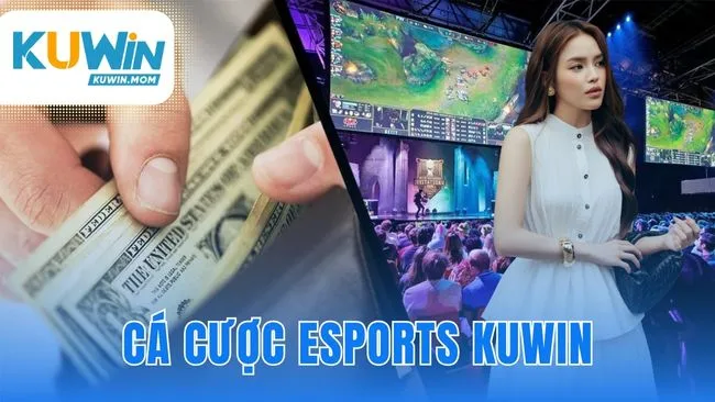 Cá cược esports KUWIN